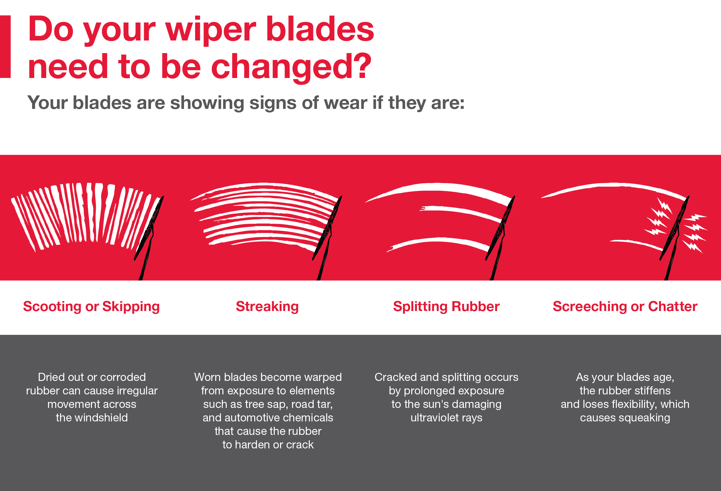 Do your wiper blades need to be changed | Fox Toyota of El Paso in El Paso TX