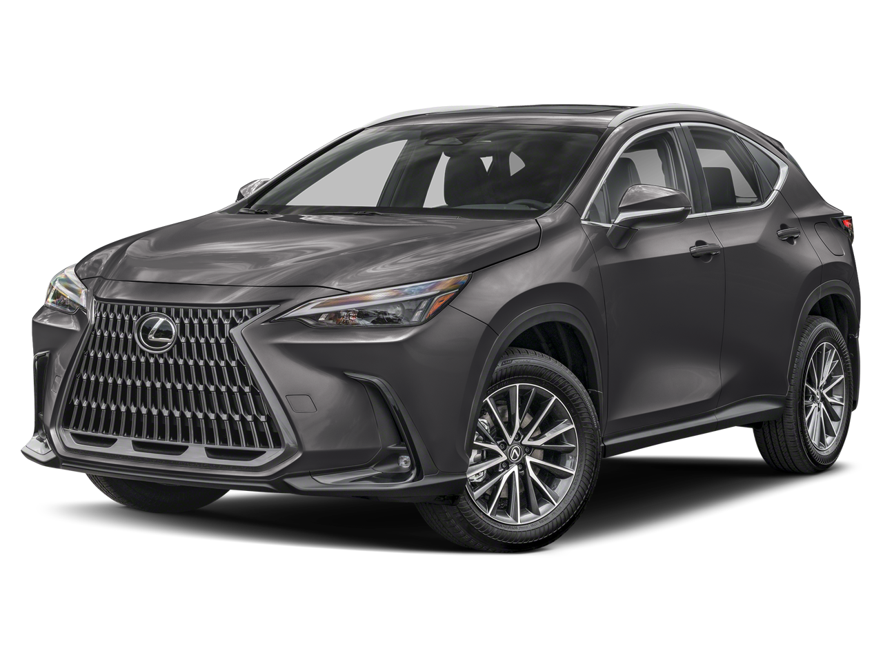2025 Lexus NX 350h 350h Premium AWD's photo