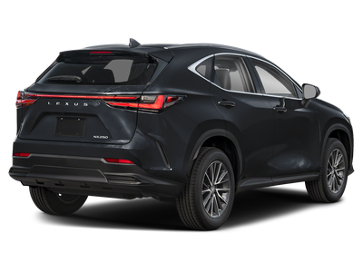 2024 Lexus NX 250 Base