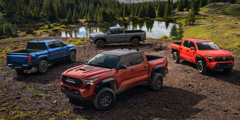 2024 Toyota Tacoma trim options