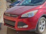 2014 Ford Escape SE w/ Low Miles