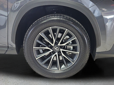 2025 Lexus NX 250 Premium