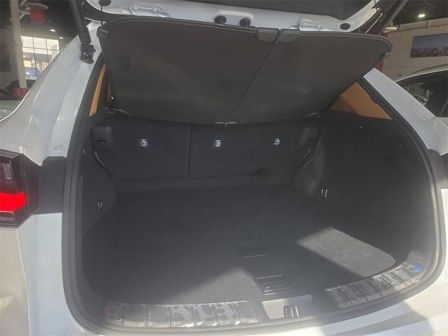 2025 Lexus NX 250 Premium