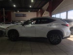 2025 Lexus NX 250 Premium