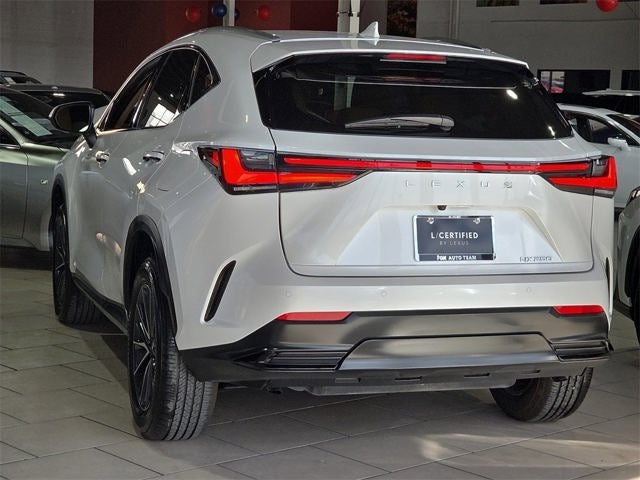 2025 Lexus NX 250 Premium