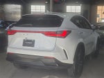 2025 Lexus NX 250 Premium