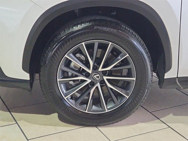 2025 Lexus NX 250 Premium