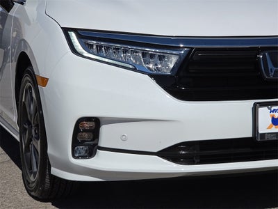 2024 Honda Odyssey Elite