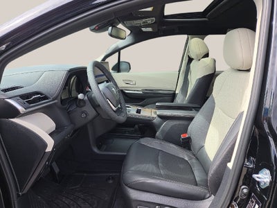 2026 Toyota Sienna Limited 7 Passenger