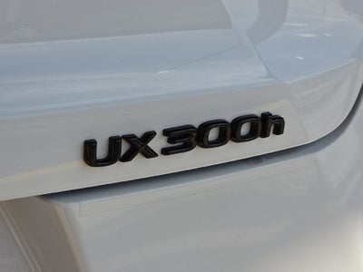 2025 Lexus UX 300h F SPORT Design