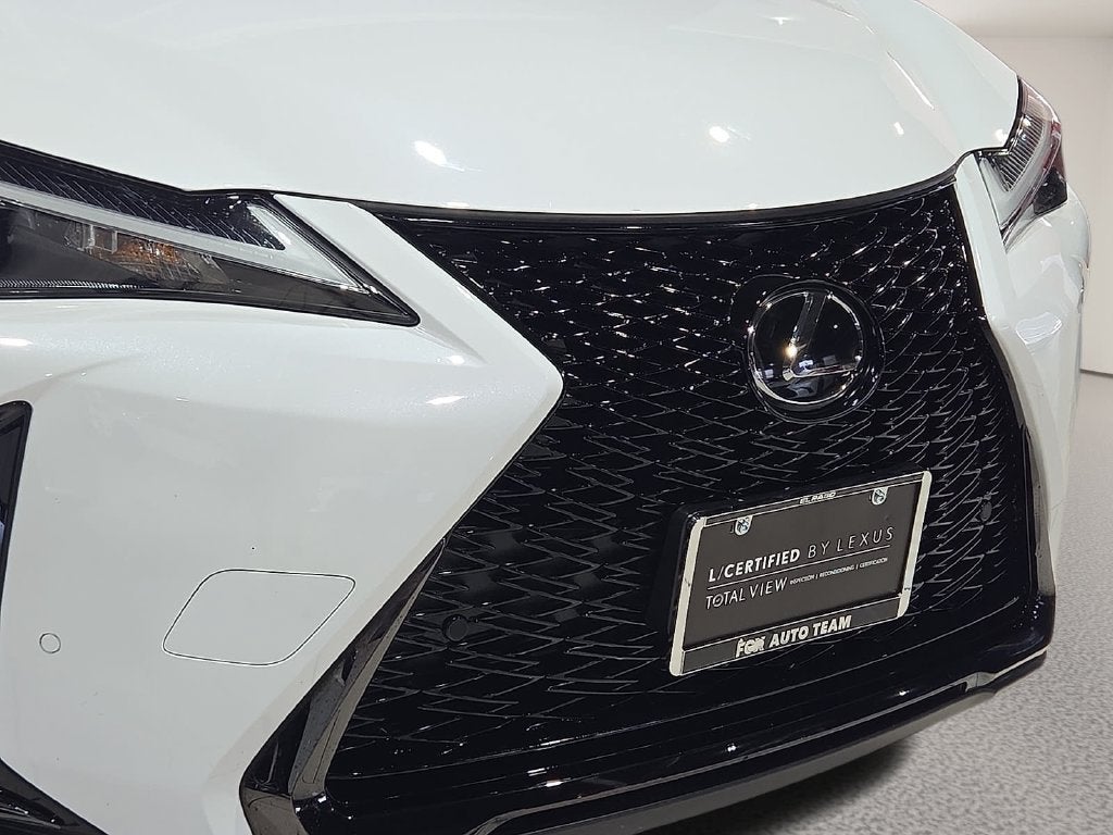 2025 Lexus UX 300h F SPORT Design